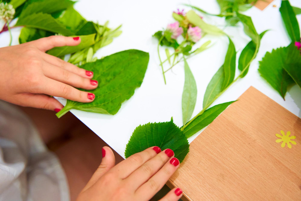 Alinarea durerilor cu ajutorul plantelor medicinale