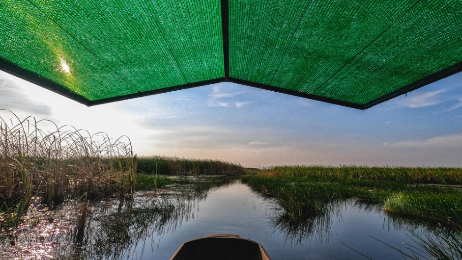 Proiecte de ecoturism în Delta Dunării